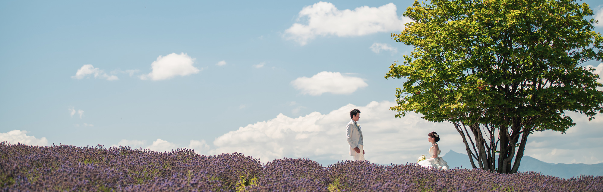 2フォトグラファープラン