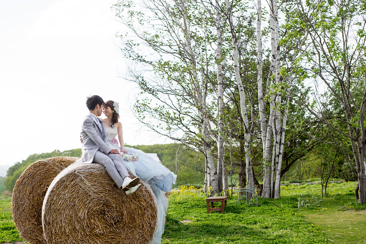 丘のうえの4つの特徴